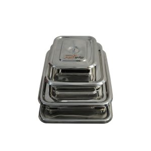 Surgical Instrument Tray Price in India